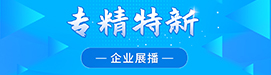 专精特新