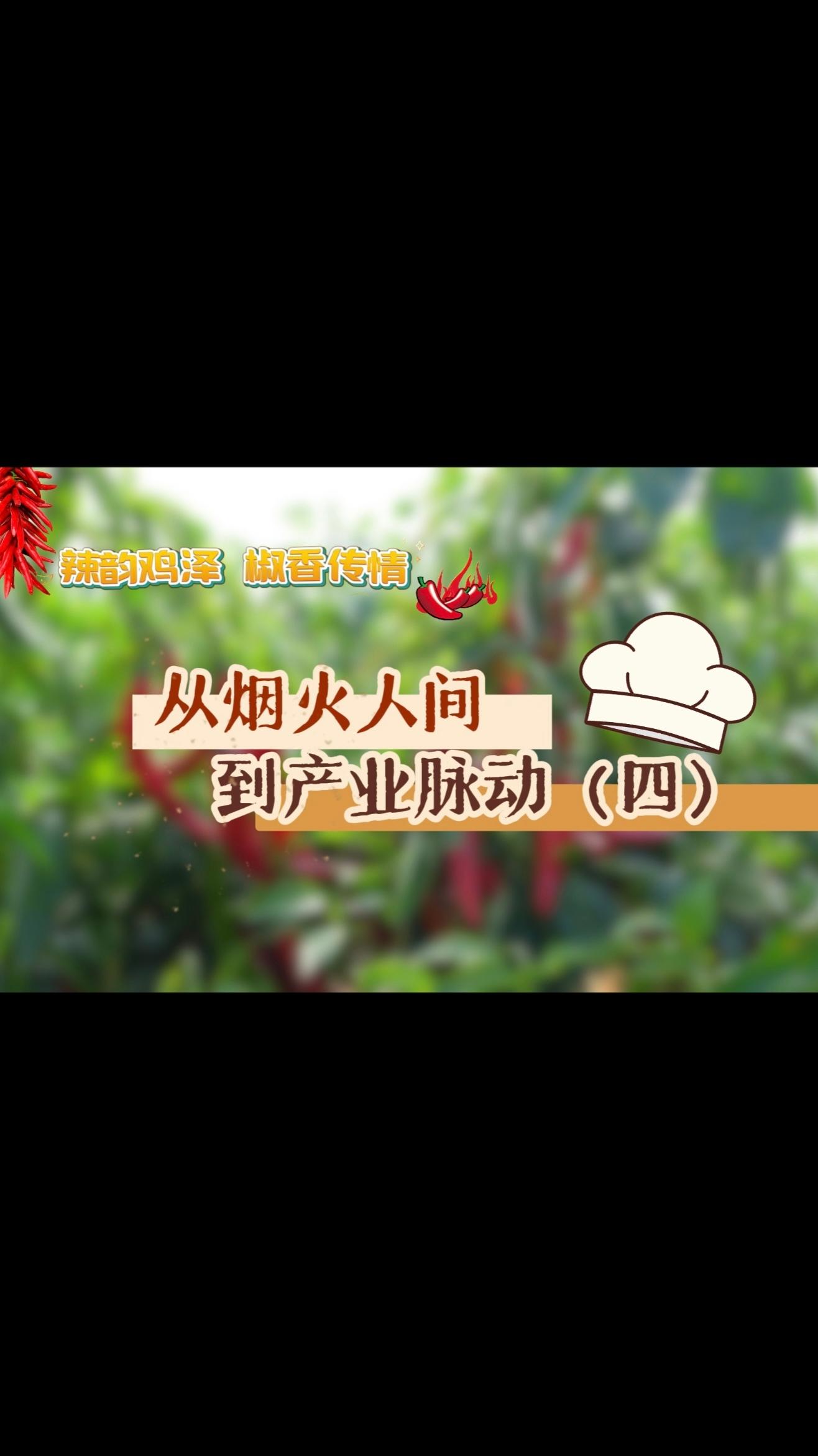 从烟火人间到产业脉动④ | 辣韵鸡泽 椒香传情